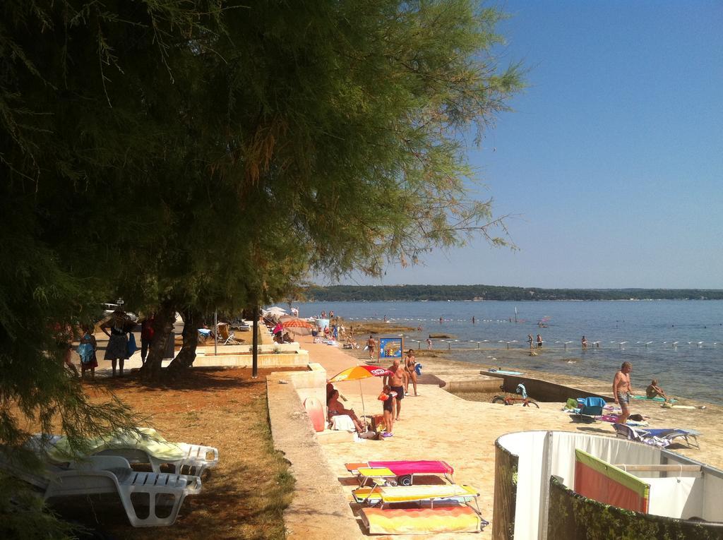 Apartment Sincic Novigrad  Ngoại thất bức ảnh