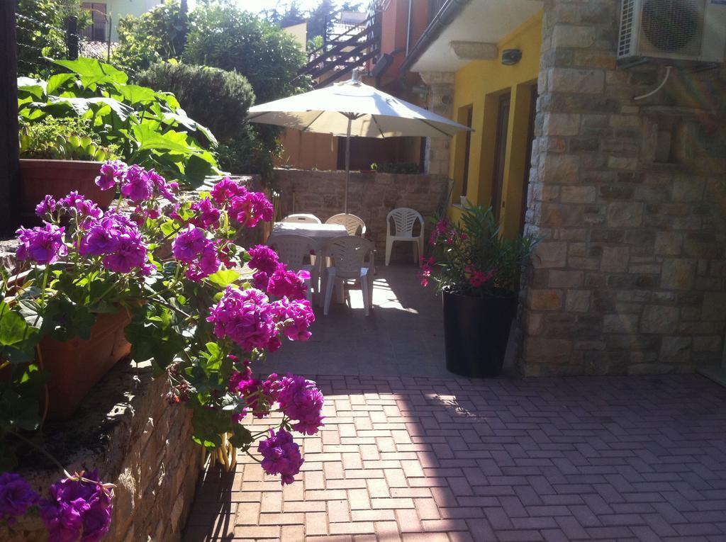 Apartment Sincic Novigrad  Ngoại thất bức ảnh