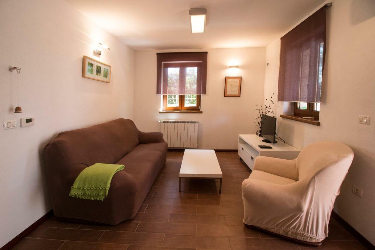 Apartment Sincic Novigrad  Ngoại thất bức ảnh