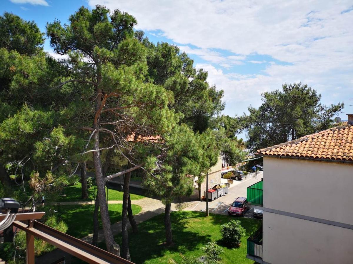 Apartment Sincic Novigrad  Ngoại thất bức ảnh